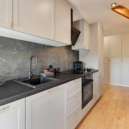 Grunwaldzka Attic By Downtown